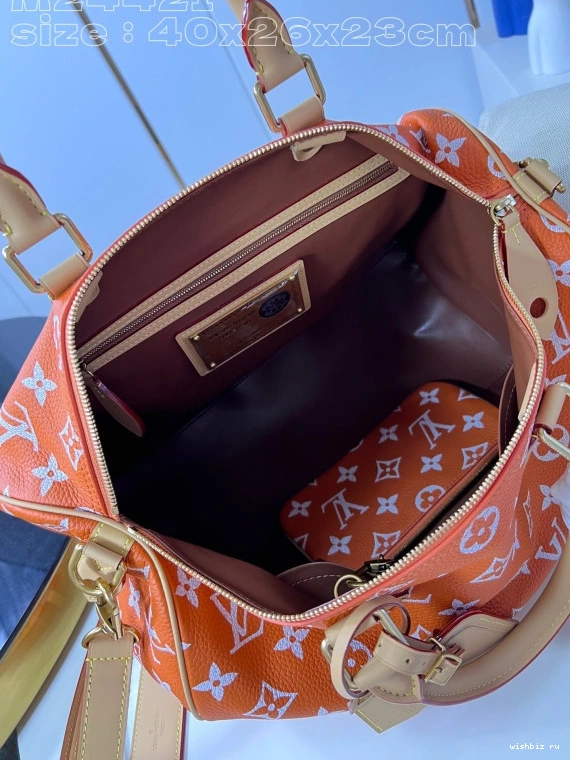 WIS SPEEDY Louis Vuitton 40 0307